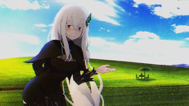 Фон «Echidna 4k»