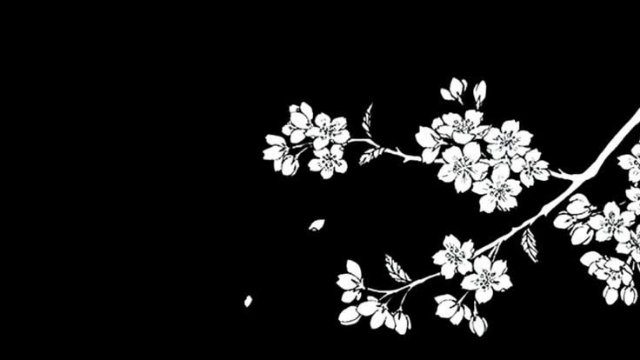 Фон «lily»