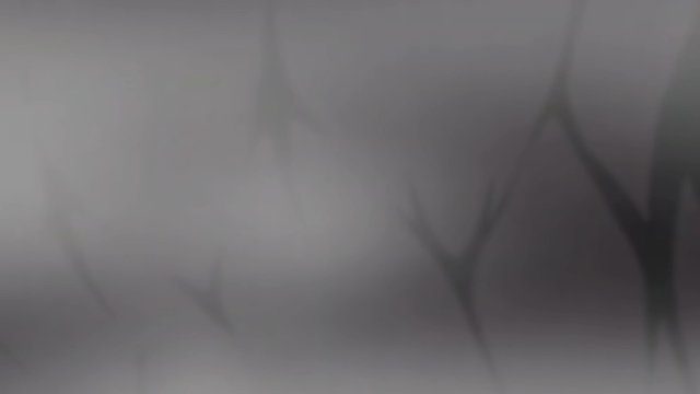 Фон «my blood is black, you know?»
