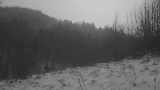 Фон «winter»