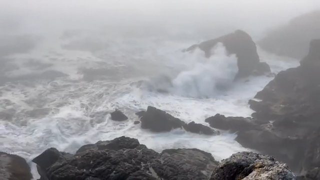 Фон «waves»
