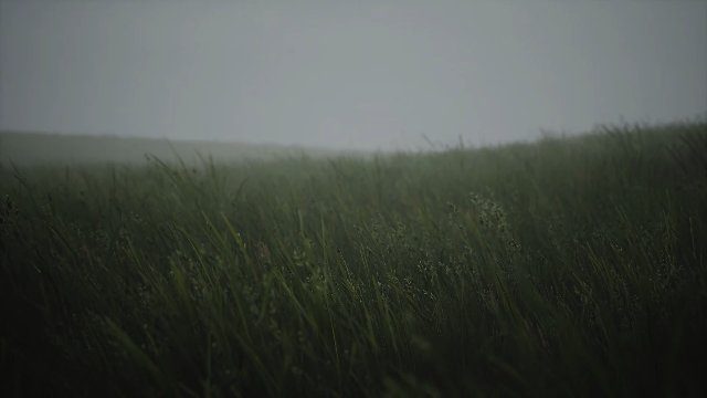 Фон «Wavy Grass»